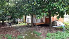 Land for sale in Ban Laeng, Rayong