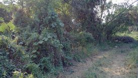 Land for sale in Kut Pong, Loei