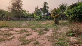 Land for sale in Dong Chen, Phayao