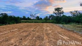 Land for sale in Makhuea Chae, Lamphun