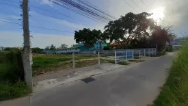 Land for sale in Nong Prue, Chonburi