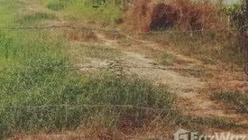 Land for sale in Bueng Bon, Pathum Thani