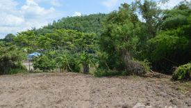 Land for sale in Tha Khao Plueak, Chiang Rai