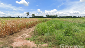 Land for sale in Bueng Phra, Phitsanulok