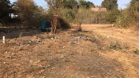 Land for sale in Nong Pling, Nakhon Sawan