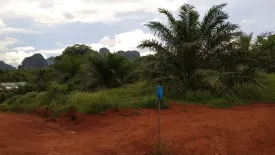 Land for sale in Khao Thong, Krabi