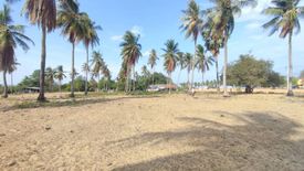 Land for sale in Kui Nuea, Prachuap Khiri Khan