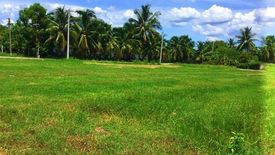 Land for sale in Don Kruai, Ratchaburi