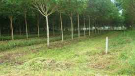 Land for sale in Kaset Suwan, Chonburi