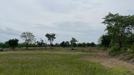 Land for sale in Non Thai, Nakhon Ratchasima