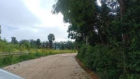 Land for sale in Tha Takhro, Phetchaburi