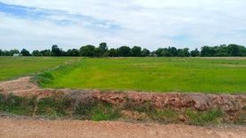 Land for sale in Suk Duean Ha, Chainat