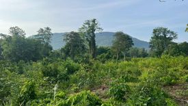 Land for sale in Kaeng Sopha, Phitsanulok