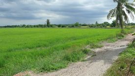 Land for sale in Bang Pla, Nakhon Pathom