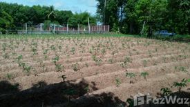 Land for sale in Song, Ubon Ratchathani