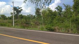 Land for sale in Sam Phrao, Udon Thani