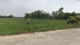 Land for sale in Ban Krot, Phra Nakhon Si Ayutthaya