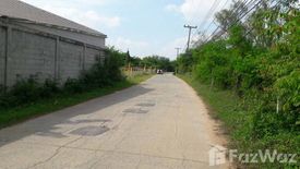 Land for sale in Cho Ho, Nakhon Ratchasima