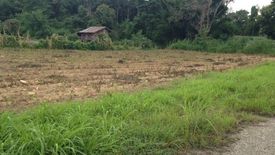 Land for sale in Mae Chedi Mai, Chiang Rai