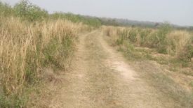 Land for sale in Lat Bua Khao, Nakhon Ratchasima