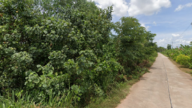 Land for sale in Khlong Chanak, Surat Thani