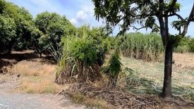 Land for sale in Nin Phet, Nakhon Pathom