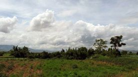 Land for sale in Wiang, Chiang Rai