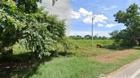 Land for sale in Phang Tru, Kanchanaburi