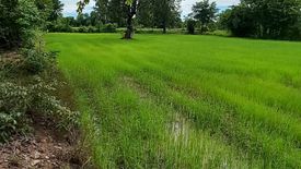 Land for sale in Don Wai, Nakhon Ratchasima