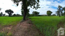 Land for sale in Don Wai, Nakhon Ratchasima