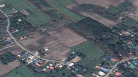 Land for sale in Wang Sai, Nakhon Ratchasima