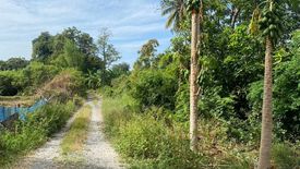 ขายที่ดิน ใน นครหลวง, นครหลวง