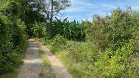 Land for sale in Nakhon Luang, Phra Nakhon Si Ayutthaya