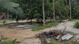 Land for sale in Ko Pha-ngan, Surat Thani