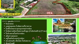 Land for sale in Pak Chong, Nakhon Ratchasima