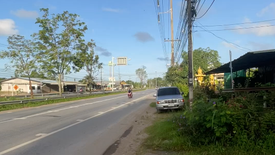 Land for sale in Phe, Rayong