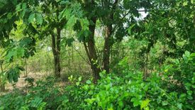 Land for sale in Don Khoi, Nakhon Pathom