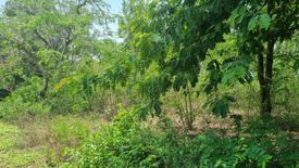 Land for sale in Don Khoi, Nakhon Pathom