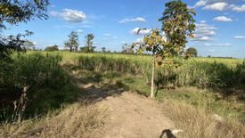 ขายที่ดิน ใน ชุมเห็ด, เมืองบุรีรัมย์