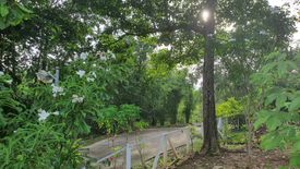 Land for sale in Khanong Phra, Nakhon Ratchasima