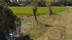 Land for sale in Khwao Yai, Maha Sarakham