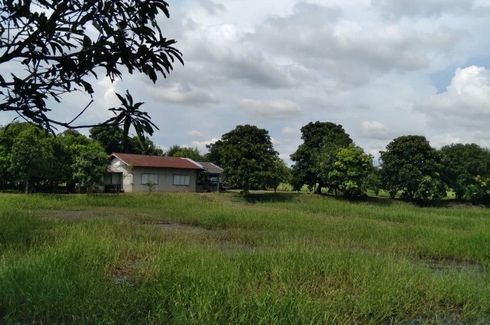 Land for sale in Dong Lakhon, Nakhon Nayok