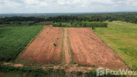 Land for sale in Daeng Yai, Khon Kaen