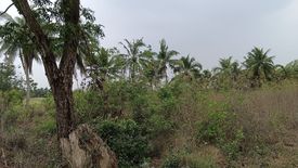 ขายที่ดิน ใน หนองขนาก, ท่าเรือ