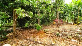 Land for sale in Tham Nam Phut, Phang Nga