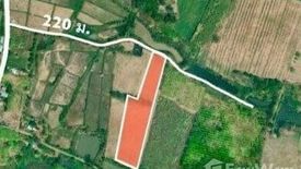 Land for sale in Si Than, Loei