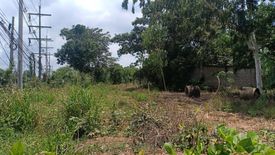 Land for sale in Nong Phrong, Prachin Buri