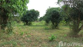 Land for sale in Tha Khlo, Saraburi