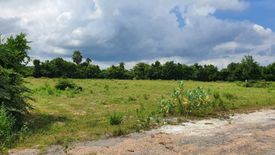 Land for sale in Nong Rawiang, Nakhon Ratchasima