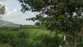 ขายที่ดิน ใน สามเรือน, บางปะอิน